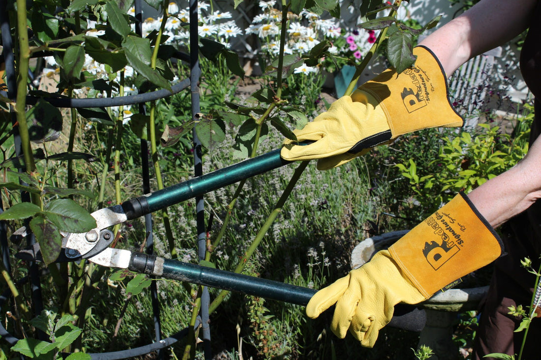 How to find the right gardening gloves